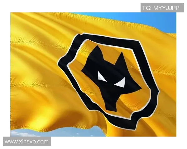 英格兰足总杯精彩对决狼队迎战什鲁斯伯里期待激烈较量